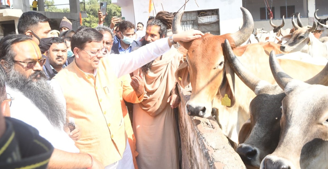 सीएम ने हरिद्वार में कृष्णायन देशी गोरक्षा शाला में आयोजित गोपाष्टमी महोत्सव में किया प्रतिभाग