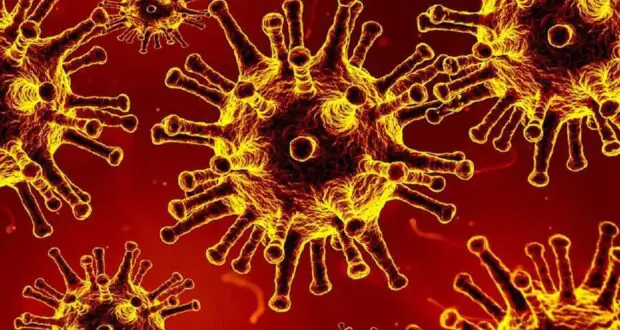 उत्तराखंड में 3005 नए कोरोना संक्रमित मिले, दो की मौत