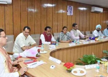 dhami cabinet