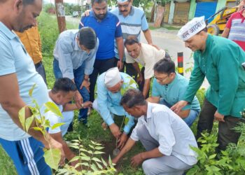 आम आदमी पार्टी ने पूरे प्रदेश में पौधारोपण कर मनाया हरेला का त्यौहार