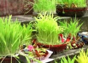 हरेला पर्व के अवसर पर सार्वजनिक अवकाश घोषित, आदेश जारी