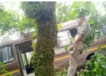 चंपावत : ITBP जवानों को ले जा रही बस खाई में गिरी, राहत और बचाव कार्य जारी