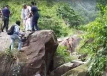 वायरल वीडियो : पूर्व सीएम त्रिवेंद्र रावत के काफिले के सामने आया हाथी, गाड़ी छोड़ चट्टान में चढ़कर बचाई जान