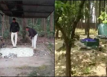 15 मजारों पर चला बुलडोजर, देहरादून वन प्रभाग ने हटाया अतिक्रमण