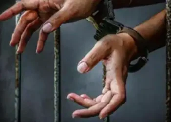 जिम कार्बेट नेशनल पार्क में मादा बाघ की मौत से मचा हड़कंप