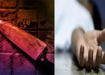 जिम कार्बेट नेशनल पार्क में मादा बाघ की मौत से मचा हड़कंप