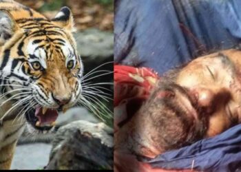 धामी सरकार का सरकरी डॉक्टरों को रिटायरमेंट तोहफा, अब 65 साल की उम्र में रिटायर होंगे डॉक्टर