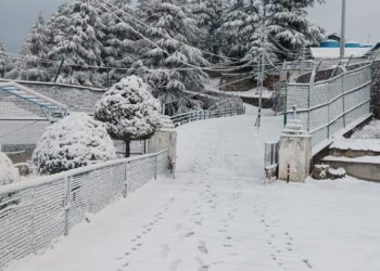 चारधाम यात्रा की होगी शुरुआत. इस दिन से खुलेंगे बाबा बदरीनाथ के कपाट