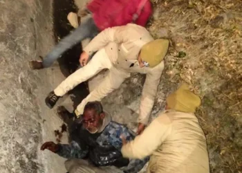 जिम कार्बेट नेशनल पार्क में मादा बाघ की मौत से मचा हड़कंप