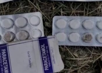 आंगनबाड़ी केंद्र में बच्चों के स्वास्थ्य से खिलवाड़, फंगस लगी मिली पुरानी दवाई