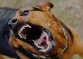 गणतंत्र दिवस को लेकर शिक्षा विभाग ने जारी किए ये आदेश