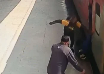 जिम कार्बेट नेशनल पार्क में मादा बाघ की मौत से मचा हड़कंप