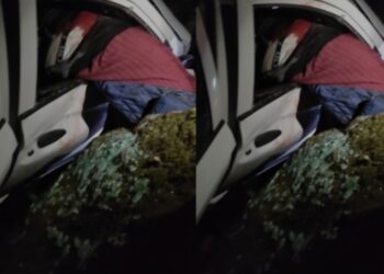 जिम कार्बेट नेशनल पार्क में मादा बाघ की मौत से मचा हड़कंप