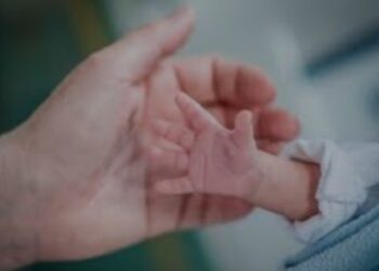 जिम कार्बेट नेशनल पार्क में मादा बाघ की मौत से मचा हड़कंप