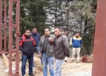 जिम कार्बेट नेशनल पार्क में मादा बाघ की मौत से मचा हड़कंप