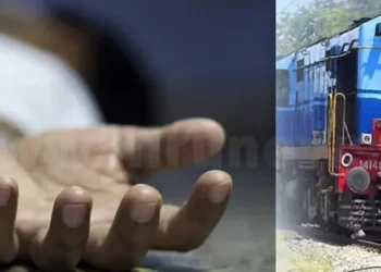 जिम कार्बेट नेशनल पार्क में मादा बाघ की मौत से मचा हड़कंप