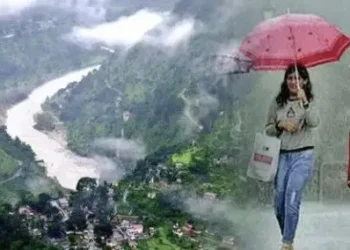 मुख्य सचिव ने निवेश योग्य योजना के संबंध में अधिकारियों के साथ की चर्चा