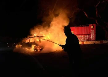 मुख्य सचिव ने निवेश योग्य योजना के संबंध में अधिकारियों के साथ की चर्चा