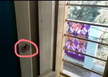 लोन के नाम पर ठगी करने वाले गिरोह का STF ने किया भंडाफोड़