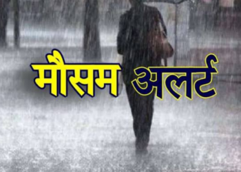 रात को खेत में कर रहा था चौकीदारी, सुबह मिली सिर कुचली लाश