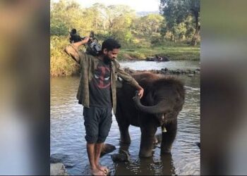 ऑस्‍कर अवार्ड्स में छाए उत्‍तराखंड के करन थपलियाल