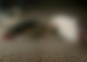 माफिया अतीक अहमद और उसके भाई अशरफ की पुलिस कस्टडी में गोली मारकर हत्या