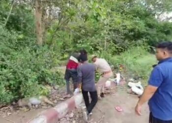 जंगल किनारे एक साथ 1 दर्जन से अधिक बंदरों के शव मिलने से मचा हड़कंप, जांच में जुटी वन विभाग