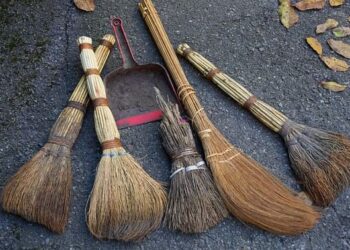 उत्तराखंड: सभी निकायो में 24 को चलेगा विशेष सफाई अभियान।