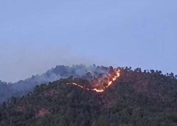 सर्दियों में दहक रहे उत्तराखंड के जंगल, लोहाघाट में उठी आग की लपटें