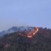 सर्दियों में दहक रहे उत्तराखंड के जंगल, लोहाघाट में उठी आग की लपटें