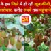 उत्तराखंड के इस जिले में हो रही खूब कीवी, 1 साल में लाखों का कारोबार, करोड़ रुपये तक पहुंचाने का है लक्ष्य