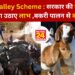 Goat Valley Scheme :सरकार की गोट वैली योजना का उठाए लाभ ,बकरी पालन से कमाए पैसे