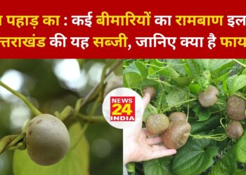 अमृत पहाड़ का : कई बीमारियों का रामबाण इलाज है उत्तराखंड की यह सब्जी, जानिए क्या है फायदे