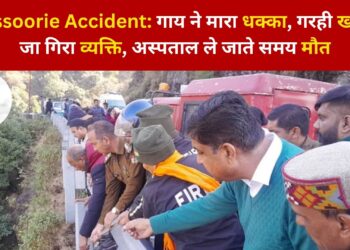 Mussoorie Accident: गाय ने मारा धक्का, गहरी खाई में जा गिरा व्यक्ति, अस्पताल ले जाते समय मौत