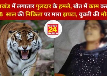 उत्तराखंड में लगातार गुलदार के हमले, खेत में काम कर रही 18 साल की निकिता पर मारा झपटा, युवती की मौत