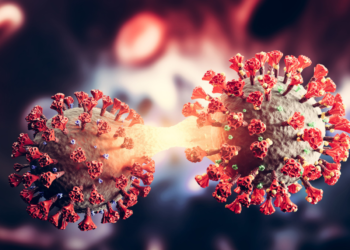 कोविड को लेकर उत्तराखंड सर्तक, शुरू होगा जन जागरूकता अभियान, अधिकारियों को स्वाथ्य सचिव ने दिए निर्देश