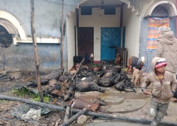 Haridwar: बाड़े में लगी आग-20 बकरियां जिंदा जली-लाखों का नुकसान