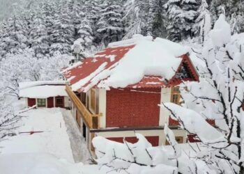 Weather Update : शीतलहर और कोहरे की चपेट में उत्तराखंड,इन जिलों में कोहरे को लेकर अलर्ट जारी