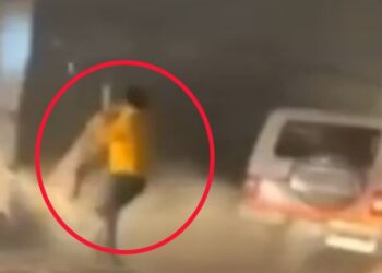 गुलदार का फर्जी वीडियो सोशल मीडिया पर VIRAL करने वाले व्यक्ति पर देहरादून पुलिस ने किया दर्ज मुकदमा