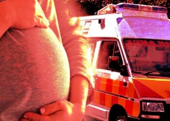 यह कैसा विकास ? सड़क और स्वास्थ्य सुविधा के अभाव में गर्भवती महिला ने तोड़ा दम