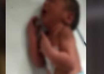 शर्मसार देहरादून: पुलिस को कूड़े के ढेर में मिली मासूम बच्ची, अस्पताल में कराया भर्ती