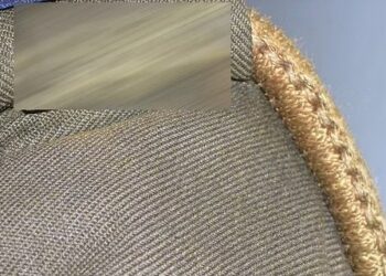 अब शासन करेगा दरोगाओं के भविष्य का फैसला, विजिलेंस ने सौंपी रिपोर्ट, 33 फीसदी नाकाबिल