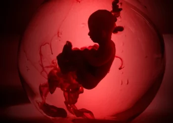 Uttarakhand : गैरकानूनी तरीके से Abortion कराना महिला को पड़ा भारी, हालत बिगड़ने पर हुई मौत