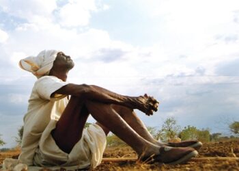 नहीं दिख रहे बारिश के आसार, बागवानी और खेती हो रही बेकार