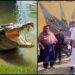 यह गांव में दिखे तीन मगरमच्छ, लोगों में दहशत, घरवाले बच्चों को नहीं भेज रहे बाहर