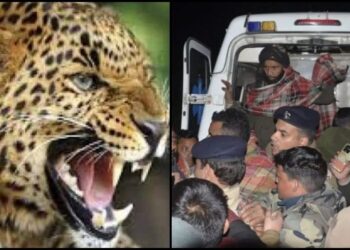 उत्तराखंड: देहरादून में 10 साल के मासूम को घर से उठाकर ले गया गुलदार, क्षेत्र में दहशत का माहौल