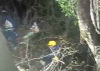 नैनीताल में नगरपालिका का कूड़ा वाहन खाई में गिरा,एक की मौत,एक गंभीर घायल, एक लापता