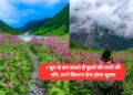 1 जून से कर सकते हैं फूलों की घाटी की सौरः जाने कितना देना होगा शुल्क