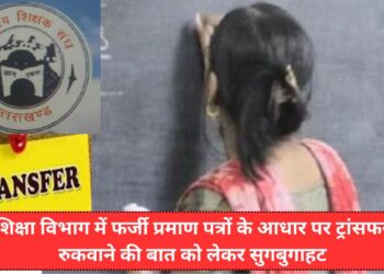 शिक्षा विभाग में फर्जी प्रमाण पत्रों के आधार पर ट्रांसफर रुकवाने की बात को लेकर सुगबुगाहट