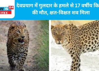 देवप्रयाग में गुलदार के हमले से 17 वर्षीय किशोर की मौत, क्षत-विक्षत शव मिला